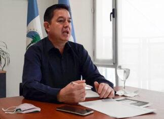 Elecciones partidarias del MPN