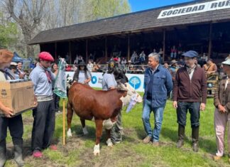 Neuquén se convierte en el epicentro ganadero de Argentina