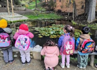 Entre bosques y ríos: el jardín de Junín que conecta a los niños con la vida real