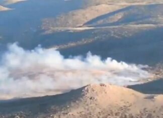 Neuquén contuvo un incendio forestal en El Espinal y evitó una tragedia