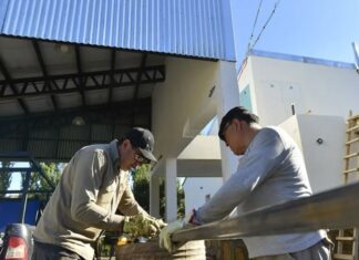 Neuquén vuelve a encabezar la generación de empleo privado en el país