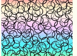 El desafío visual que solo los más atentos logran superar