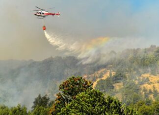 Incendios en Chile: Neuquén puso a disposición brigadistas, aviones y apoyo sanitario
