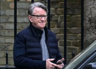 Caso Epstein: arrestaron a un exembajador británico en Estados Unidos