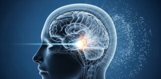 Meta presentó un modelo de IA que predice la actividad cerebral humana