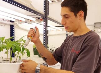NanoQlay: el proyecto argentino que busca revolucionar los fertilizantes