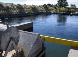 La Picacita: la obra que busca un riego más eficiente en Neuquén