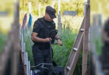 Allanamientos por amenazas en escuelas: identificaron a un menor de 13 años