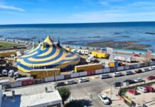 Incendió el circo donde trabajaba luego de ser echado y terminó detenido