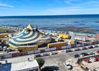 Incendió el circo donde trabajaba luego de ser echado y terminó detenido