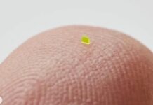 Un bolso microscópico se vendió por $63.750 dólares