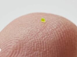 Un bolso microscópico se vendió por $63.750 dólares
