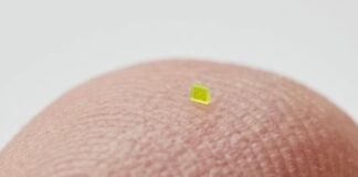 Un bolso microscópico se vendió por $63.750 dólares
