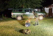 Secuestran nuevos paquetes y agravan la acusación contra tres neuquinos