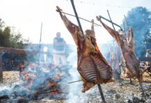Veinte ediciones y una identidad: vuelve la Fiesta Nacional del Chef Patagónico