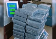 Salta: una familia fue detenida con más de 23 kilos de cocaína ocultos en un auto