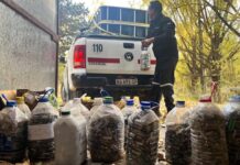 Más de 2.500 kilos de pilas recolectadas: el alcance de una política ambiental sostenida