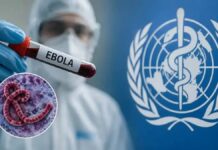 Refuerzan controles sanitarios tras detectar barcos provenientes de zonas con ébola