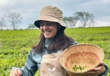 El té que nació en la Patagonia y conquistó al jurado más exigente del país