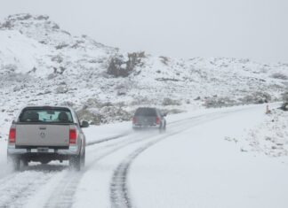 Neuquén: ¿Cómo están las rutas de la provincia?