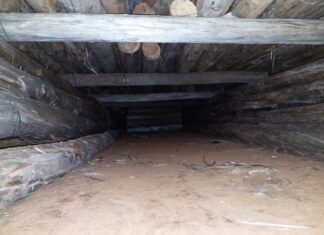 Padre e hijo transportaban más de 1.780 kilos de marihuana oculta entre postes de madera