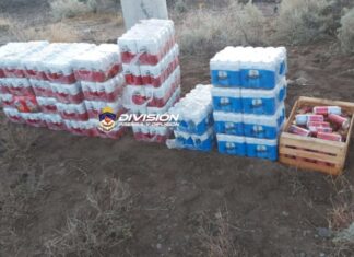 Neuquén: Encontraron packs de cerveza robadas en un baldio