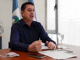Elecciones partidarias del MPN