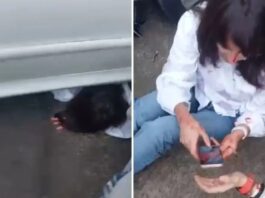 Insólito: una mujer fue aplastada por su propio auto y sobrevivió de milagro