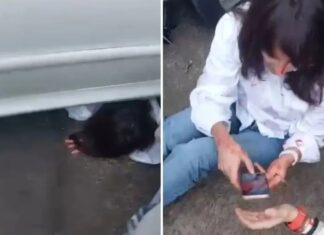 Insólito: una mujer fue aplastada por su propio auto y sobrevivió de milagro