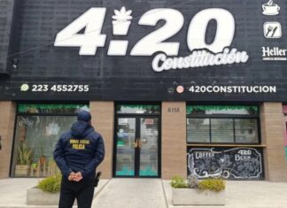 Una mujer usaba un grow shop como pantalla para vender marihuana