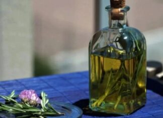 1° de Agosto: la leyenda y el ritual detrás de la caña con ruda