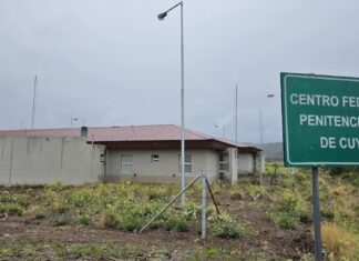 Mendoza: aplican por primera vez la Ley Antimafia