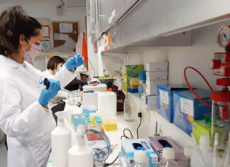 El CONICET desarrolla una IA para la detección temprana del cáncer de mama