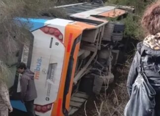 Chofer se descompensó y provocó vuelco de un micro en acceso al Cerro Catedral