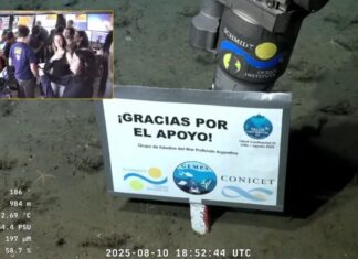 Así terminó la expedición del Conicet en el Mar Argentino