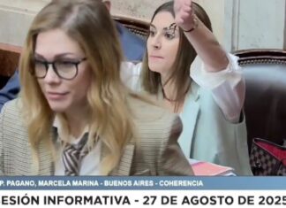 Tensión en la Cámara Baja: gritos entre Pagano y Lemoine en plena sesión