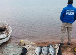 Operativo contra la pesca furtiva: secuestraron armas y herramientas