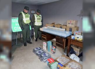 Cañuelas: incautan cargamento ilegal con remifentanilo