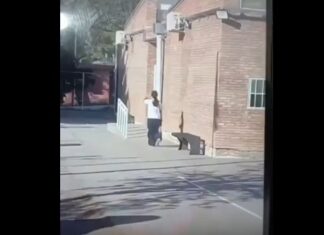 Alumnos armados en las escuelas: los casos de este 2025 en Argentina