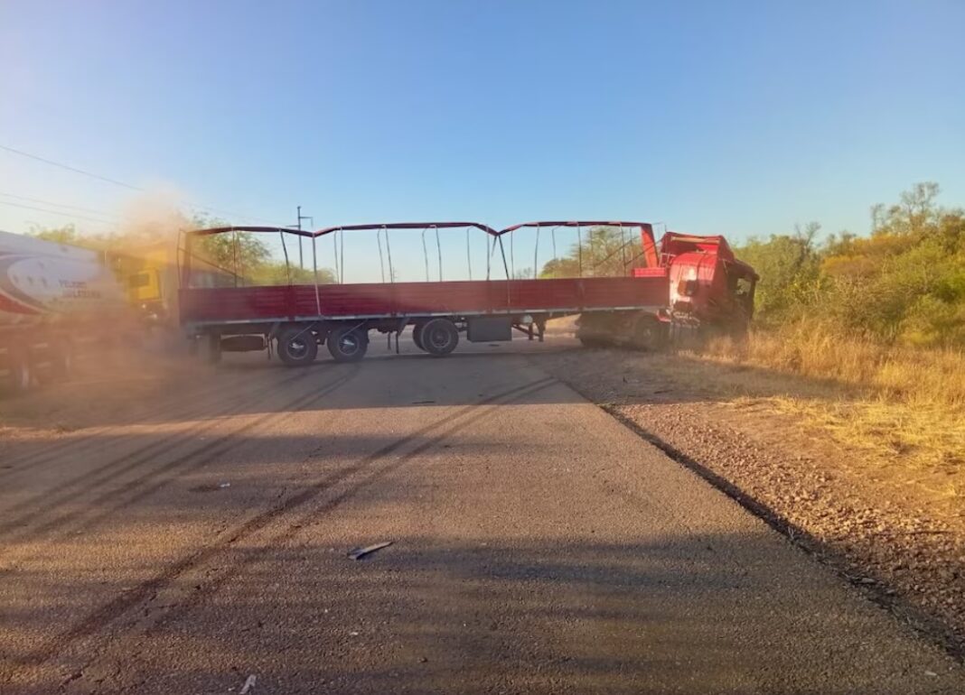 camionero salta