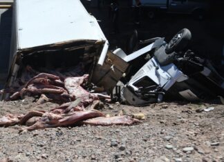 Mendoza: un camión frigorífico volcó y vecinos intentaron saquear la carne