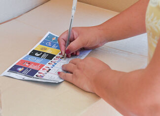 Paso a paso: cómo practicar tu voto con la nueva Boleta Única en las elecciones