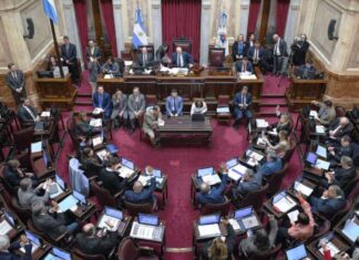 Senadora opositora entonó cánticos contra Karina Milei en plena sesión por Discapacidad