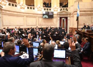 Uno por uno: cómo votaron los senadores el rechazo al veto de la ley de emergencia en Discapacidad