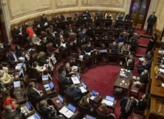 El Senado debate el veto a la ley de Discapacidad y la regulación de los DNU