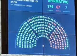 La Cámara de Diputados rechazó los vetos a la Emergencia Pediátrica y al Financiamiento Universitario