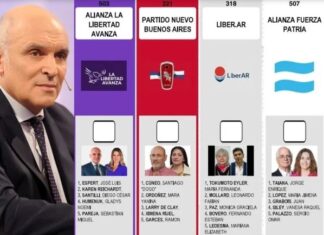 Renuncia de Espert complica al Gobierno: boletas únicas podrían mantenerse con su imagen y disparar costos