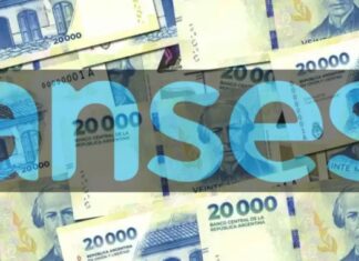 ANSES: aumento de la Pensión No Contributiva y montos de la Tarjeta Alimentar