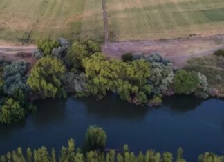 Río Negro: intensa búsqueda de un hombre y sus hijos arrastrados por la corriente