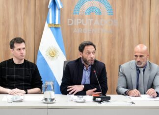 Caso Libra: el Congreso cierra la investigación y presentará el informe final el 18 de noviembre